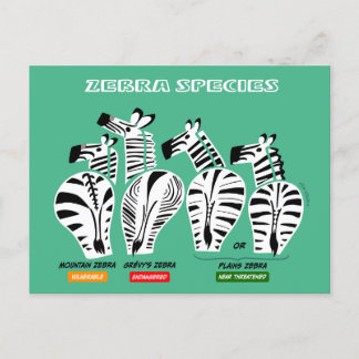 Zebra Soort Briefkaart