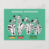Zebra Soort Briefkaart (Voorkant)