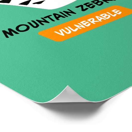 Zebra Soort KunstPoster Poster (Hoek)