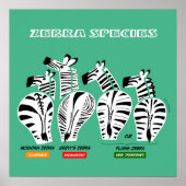 Zebra Soort KunstPoster Poster (Voorkant)