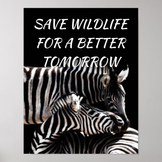 Zebra, sparen Wildlife voor een Betere Natuur van  Poster (Voorkant)