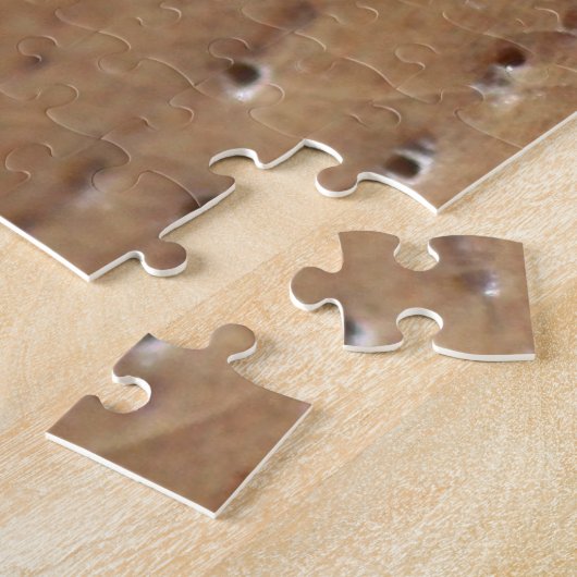 Zebra Spider Puzzle Legpuzzel (Zijkant)