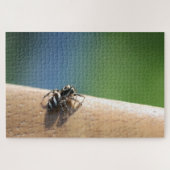 Zebra Spider Puzzle Legpuzzel (Horizontaal)