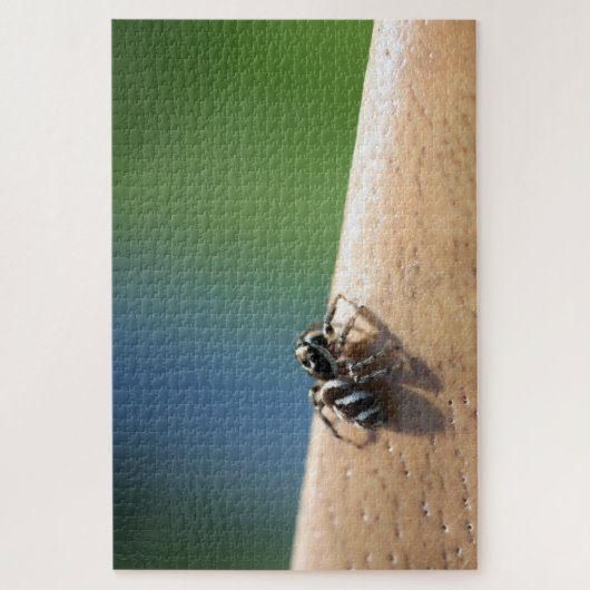 Zebra Spider Puzzle Legpuzzel (Verticaal)