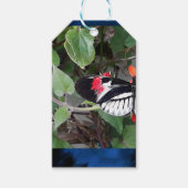 Zebra staart vlinder cadeaulabel (Voorkant)