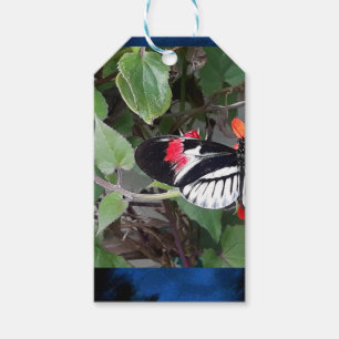 Zebra staart vlinder cadeaulabel