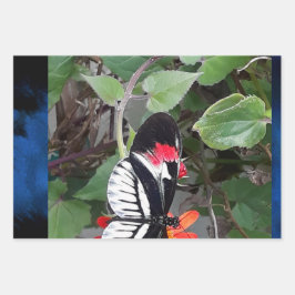 Zebra staart vlinder inpakpapier vel
