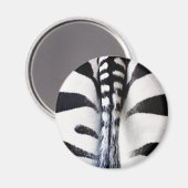 Zebra Staart Zwart & Wit Magneet (Voorkant / Achterkant)