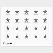 Zebra Star Stickers (Vel)