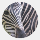 Zebra Sticker (Voorkant)