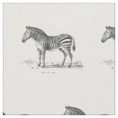 Zebra Stof (Close Up)