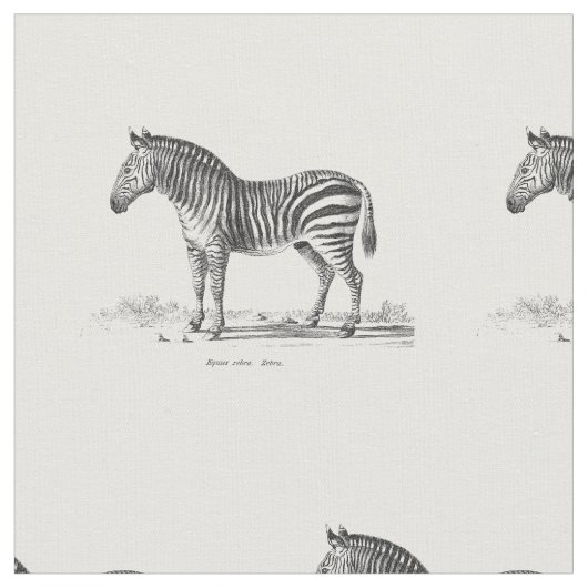  Zebra Stof (Close Up)