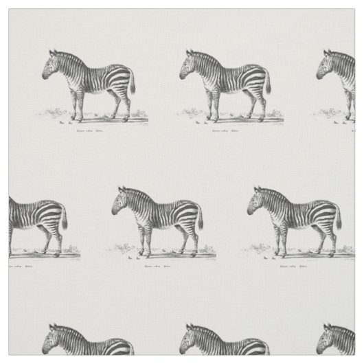 Zebra Stof (Swatch)