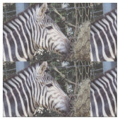Zebra Stof (Close Up)