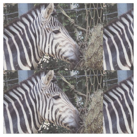 Zebra Stof (Close Up)