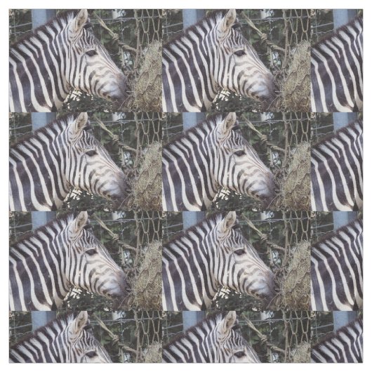 Zebra Stof (Swatch)
