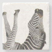 Zebra Stone Onderzetter (Voorkant)