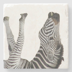 Zebra Stone Onderzetter