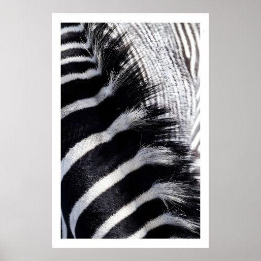 Zebra Streep Muur Kunst Moderne Dierenprint Poster (Voorkant)