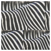 Zebra Strepen #1_ Stof (Close Up)