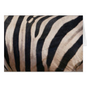 Zebra Strepen Zwart en Wit (Voorkant Horizontaal)