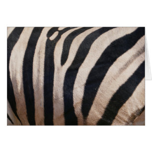 Zebra Strepen Zwart en Wit