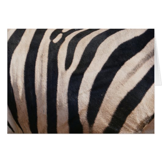 Zebra Strepen Zwart en Wit (Voorkant Horizontaal)