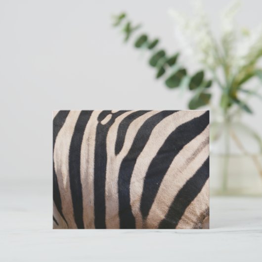 Zebra Strepen Zwart en Wit Briefkaart (Staand voorkant)
