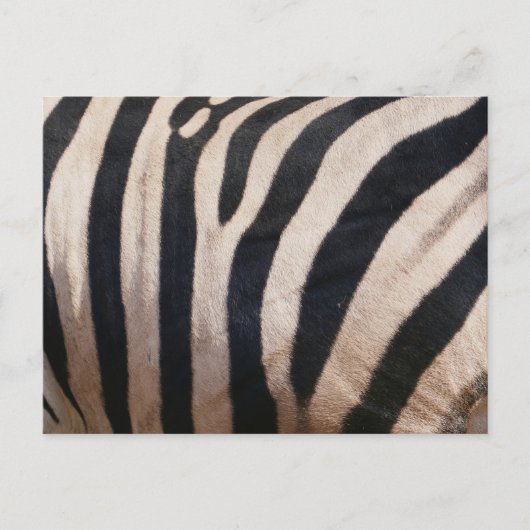 Zebra Strepen Zwart en Wit Briefkaart (Voorkant)