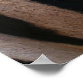 Zebra Strepen Zwart en Wit Poster (Hoek)