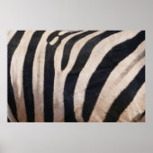 Zebra Strepen Zwart en Wit Poster (Voorkant)