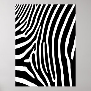 Zebra Stripe afdruk (zwart-wit) Poster