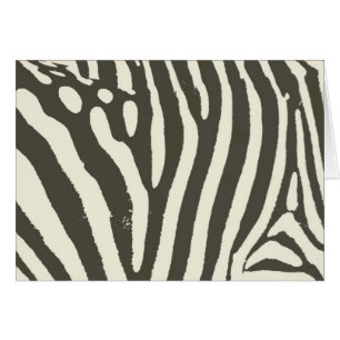 Zebra Stripe Dierenprint Patroon