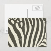 Zebra Stripe Dierenprint Patroon Briefkaart (Voorkant / Achterkant)