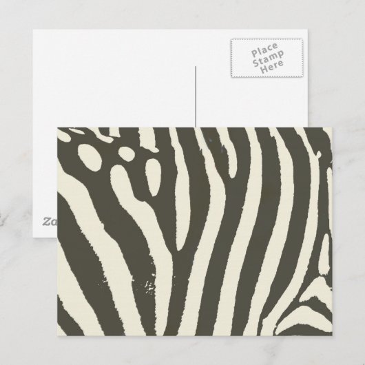 Zebra Stripe Dierenprint Patroon Briefkaart (Voorkant / Achterkant)