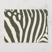Zebra Stripe Dierenprint Patroon Briefkaart (Voorkant)