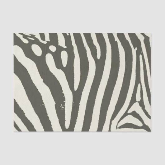 Zebra Stripe Dierenprint Patroon Tissuepapier (Voorkant)