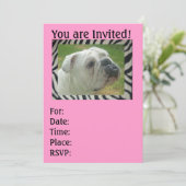 Zebra Stripe English Bulldog party Uitnodigingen (Staand voorkant)