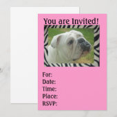 Zebra Stripe English Bulldog party Uitnodigingen (Voorkant / Achterkant)
