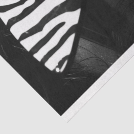 Zebra Stripe  Glam Zwart Wit Decoupage Tissuepapier (Detail)