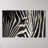 Zebra Stripe Patroon en oog Poster (Voorkant)
