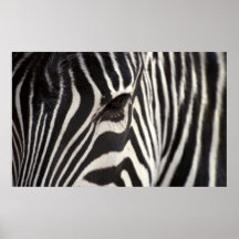 Zebra Stripe Patroon en oog