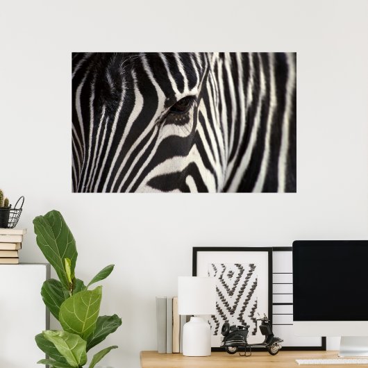 Zebra Stripe Patroon en oog Poster (Thuiskantoor)