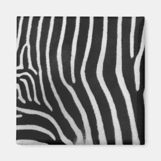Zebra Stripe Patroon Vierkante Magneet (Voorkant)