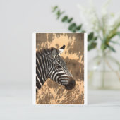 Zebra Stripes Briefkaart (Staand voorkant)
