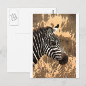 Zebra Stripes Briefkaart (Voorkant / Achterkant)