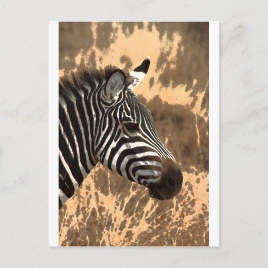 Zebra Stripes Briefkaart (Voorkant)