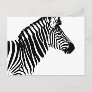 Zebra Stripes Briefkaart