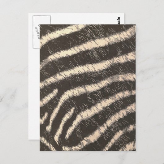 Zebra Stripes Briefkaart (Voorkant / Achterkant)