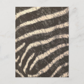 Zebra Stripes Briefkaart